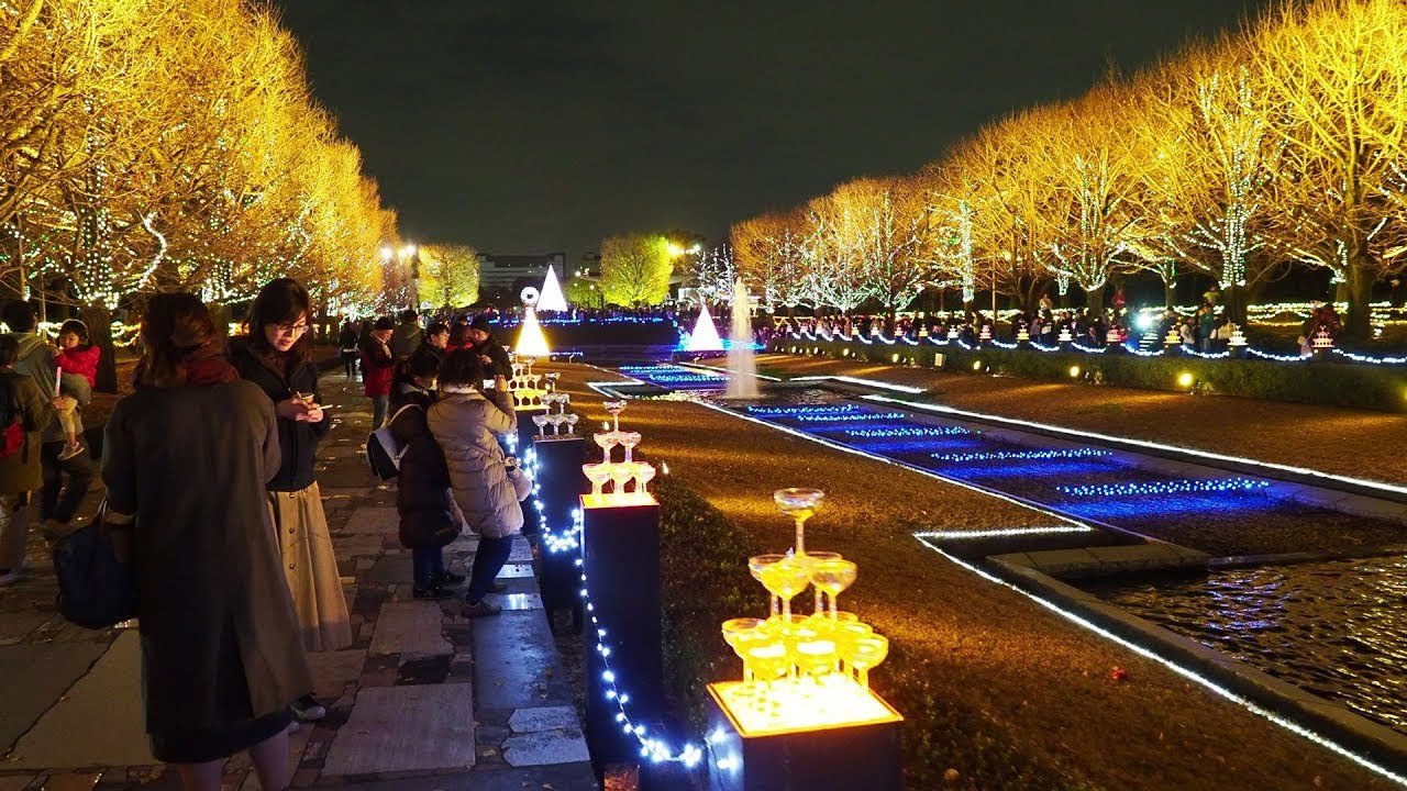🌳 국영 쇼와 기념 공원 이미지 12